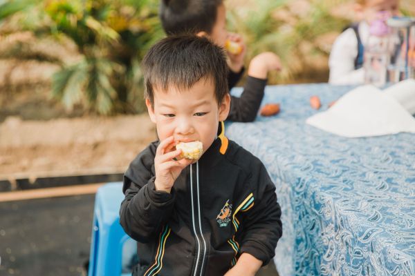Reception class trip,Wellington College Bilingual Tianjin – Nursery