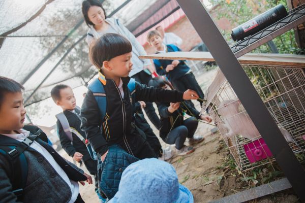 Reception class trip,Wellington College Bilingual Tianjin – Nursery