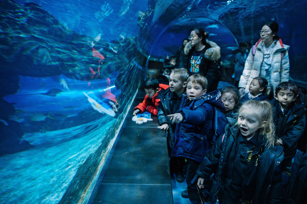 Tianjin Haichang Polar Ocean World Trip