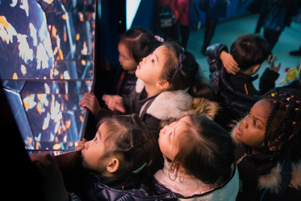 海洋馆奇妙日,天津惠灵顿幼儿园