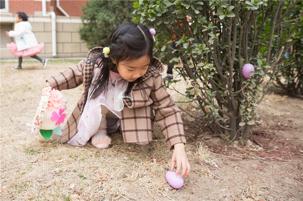 Nest Easter Day,Wellington College Bilingual Tianjin – Nursery
