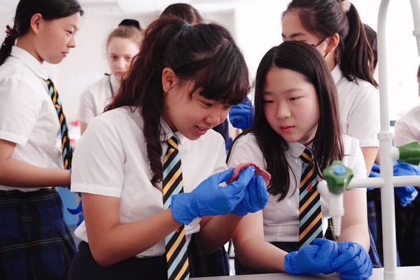 科学周,杭州惠灵顿外籍人员子女学校