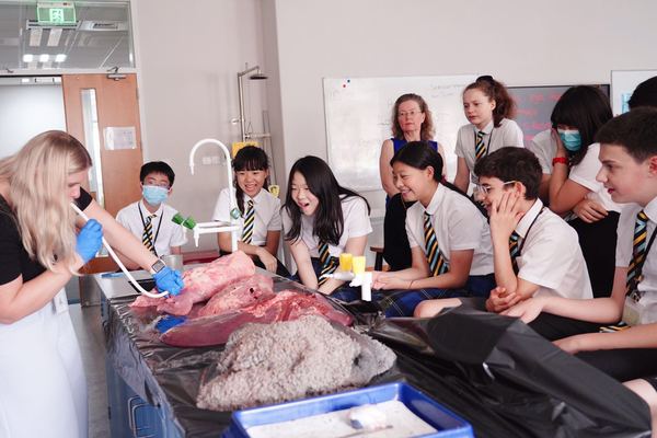 科学周,杭州惠灵顿外籍人员子女学校