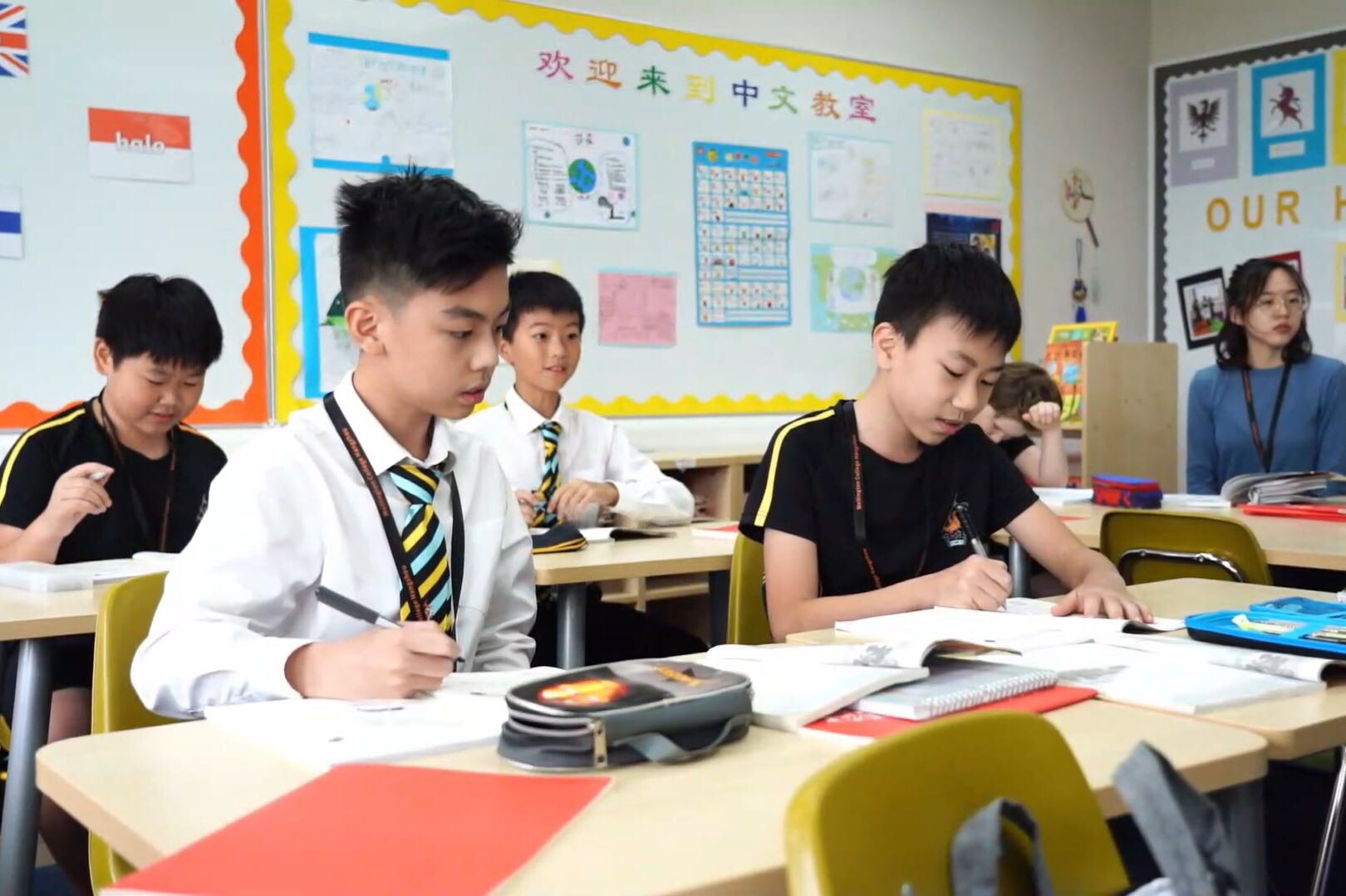教育焦点 |  将中华文化融入中文课堂