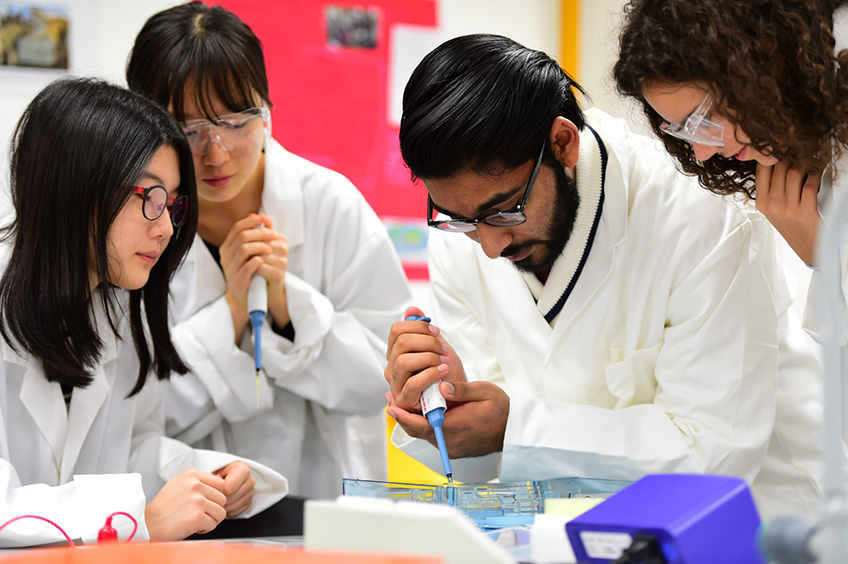 University Preparation at Wellington College