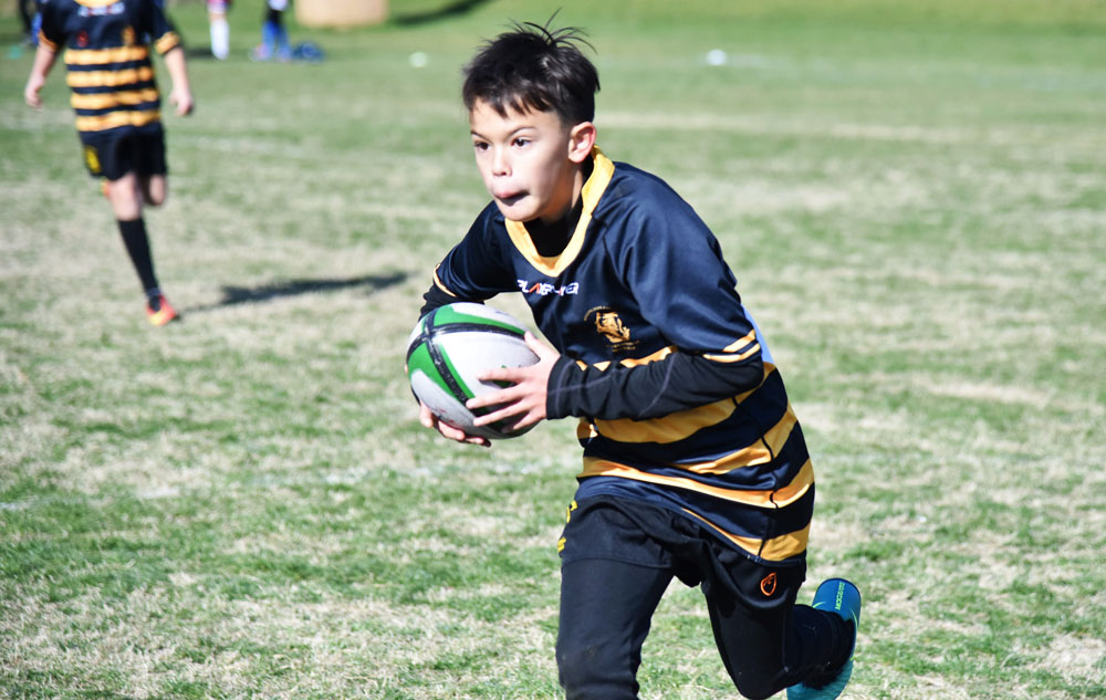 U11/U9 rugby round up: U9s continue their impressive run of form