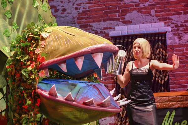 Little Shop of Horrors