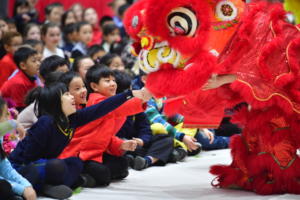 Countdown to Chinese New Year at Wellington