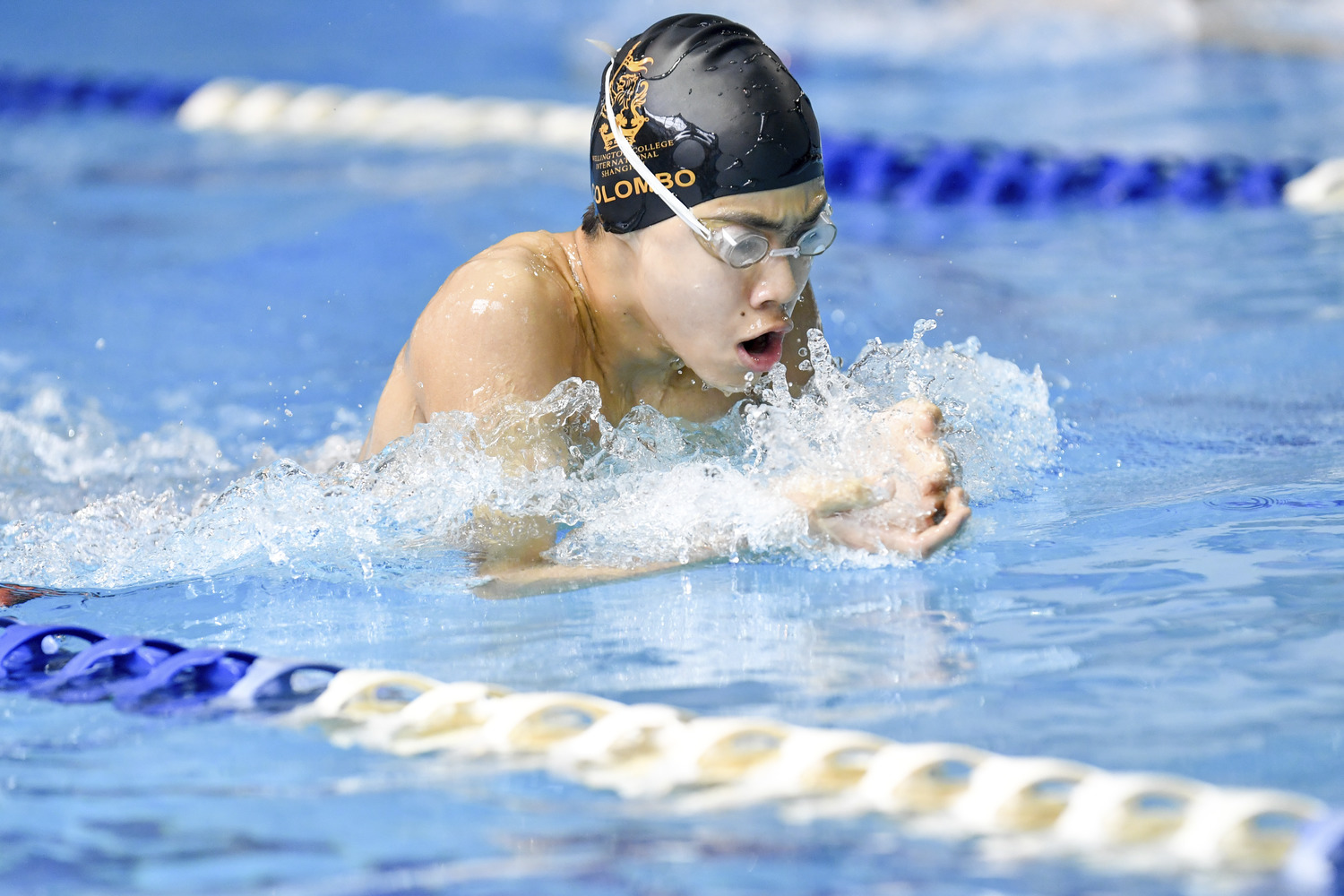 Swimming Gala