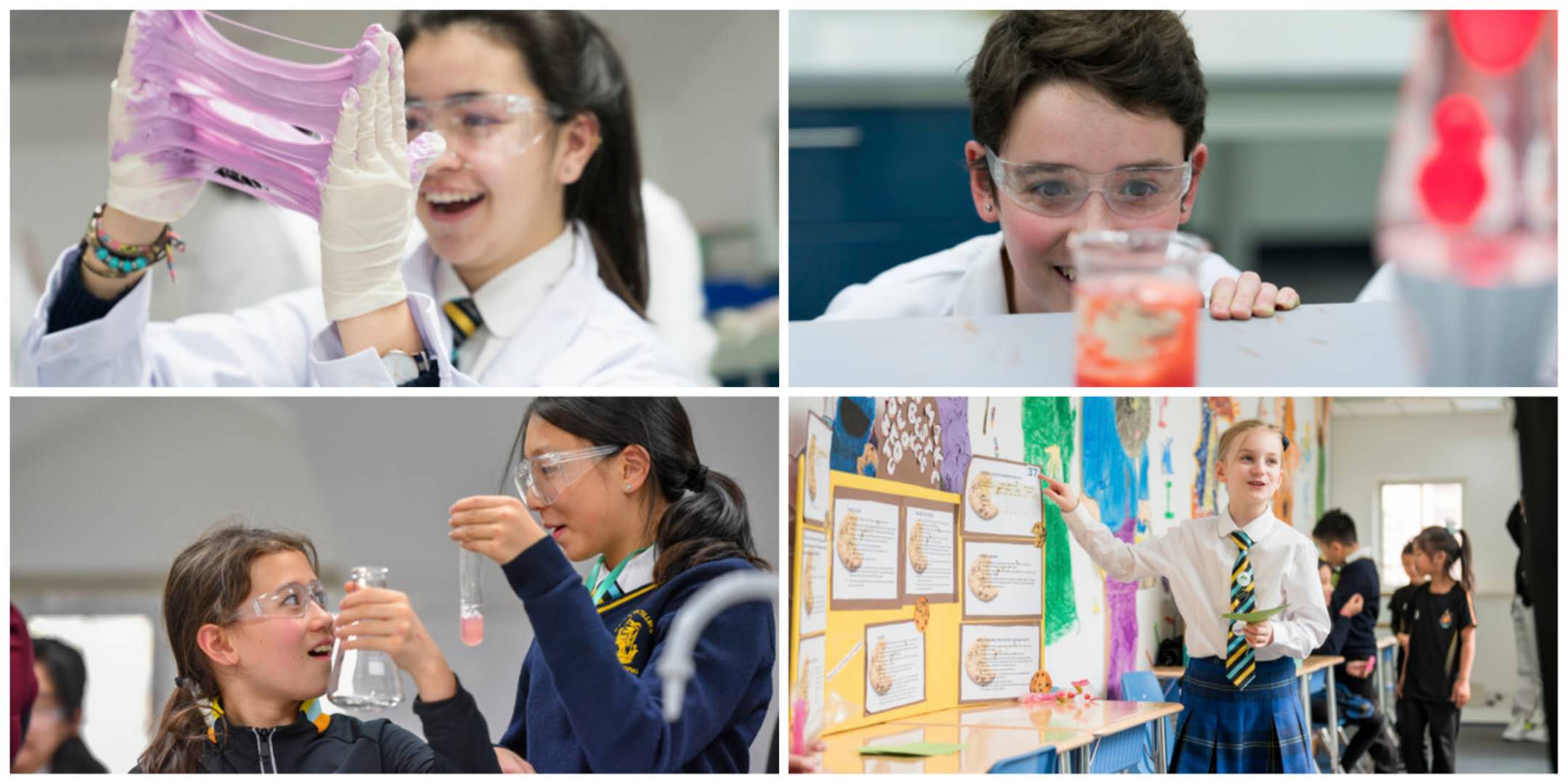 Knowledge is power | Wellington Science Week powers pupils up