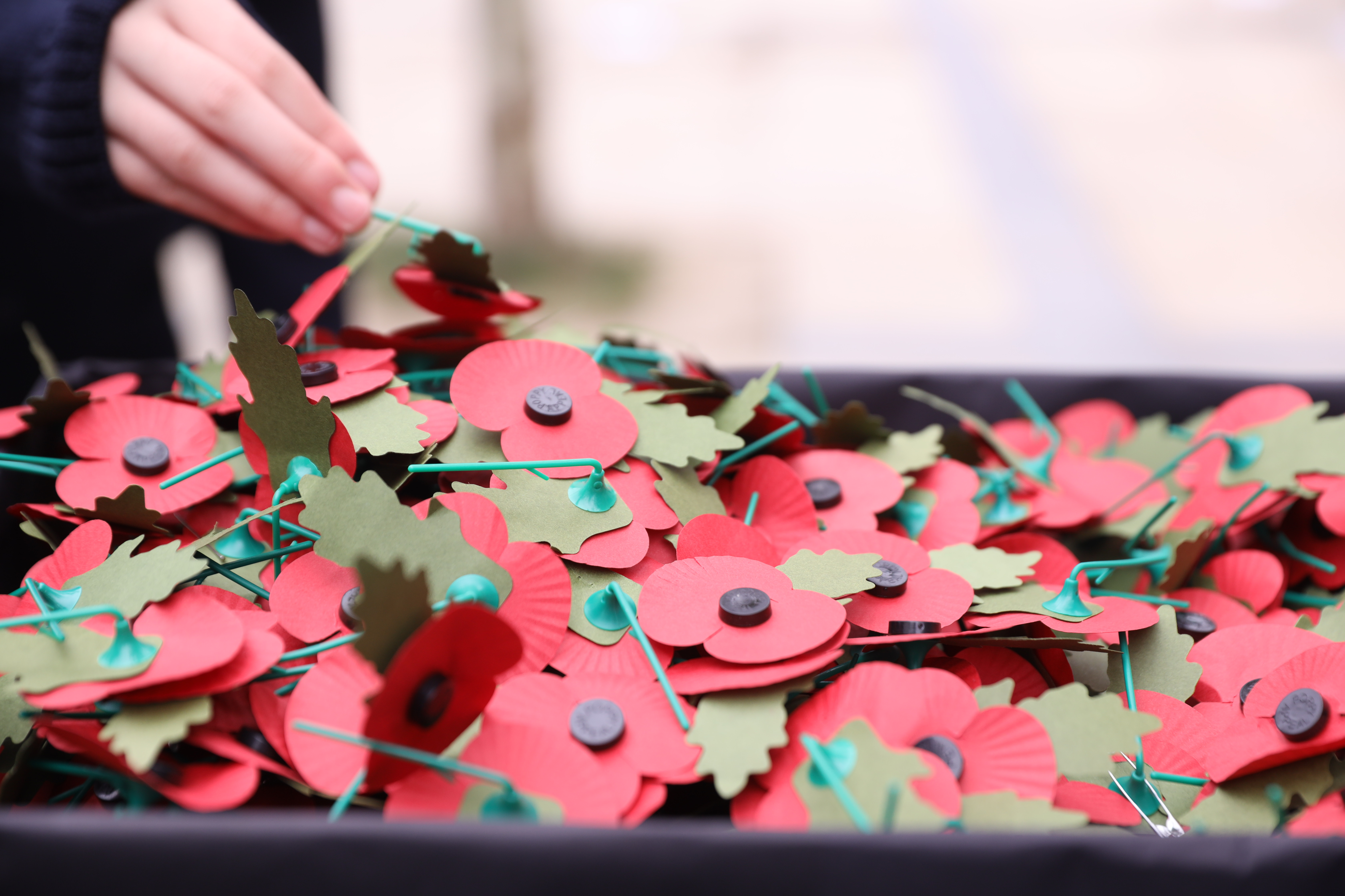 Wellington College Shanghai Remembrance Day