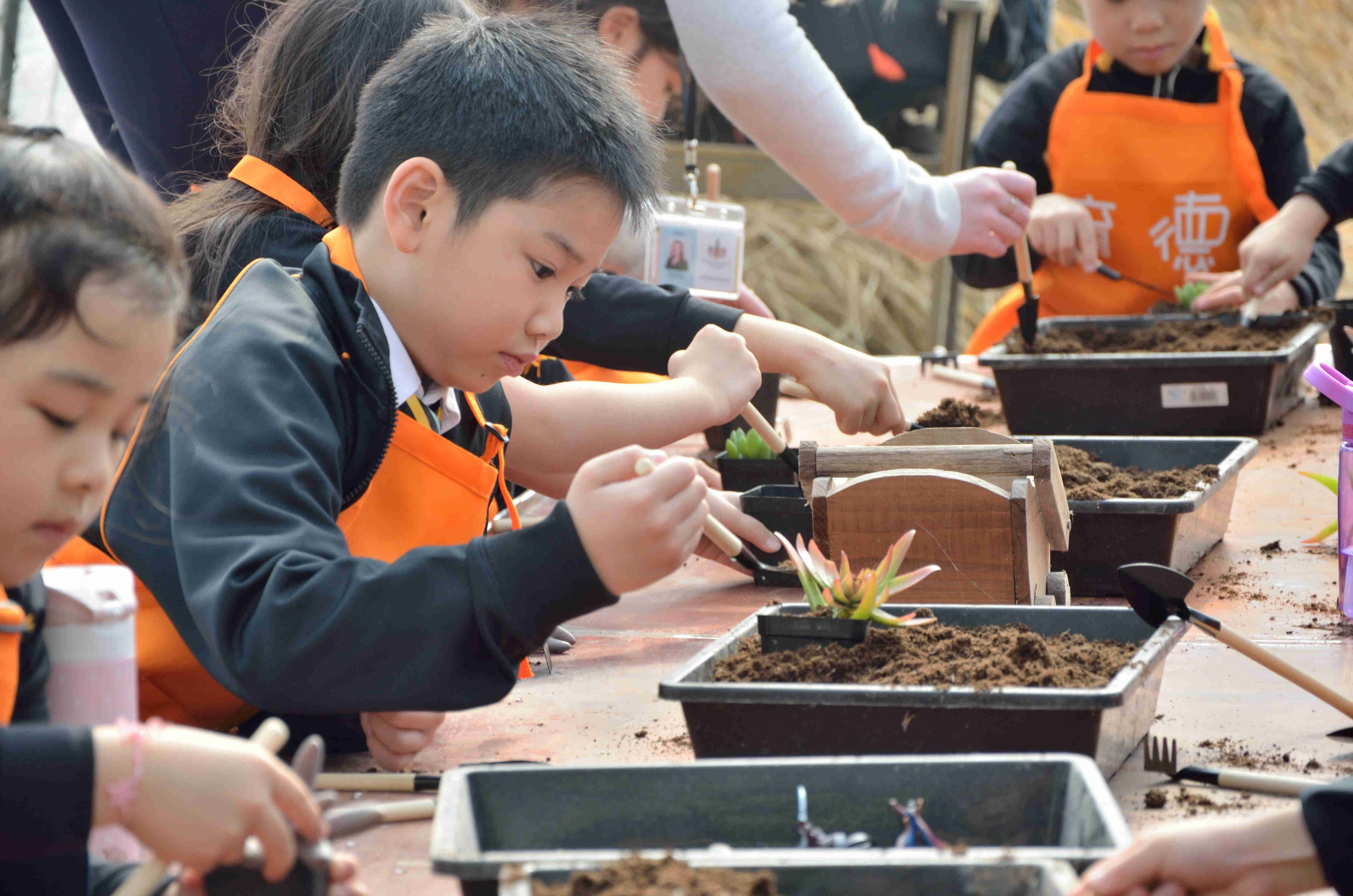 Schools in China bring lessons to life | from classroom to organic farm