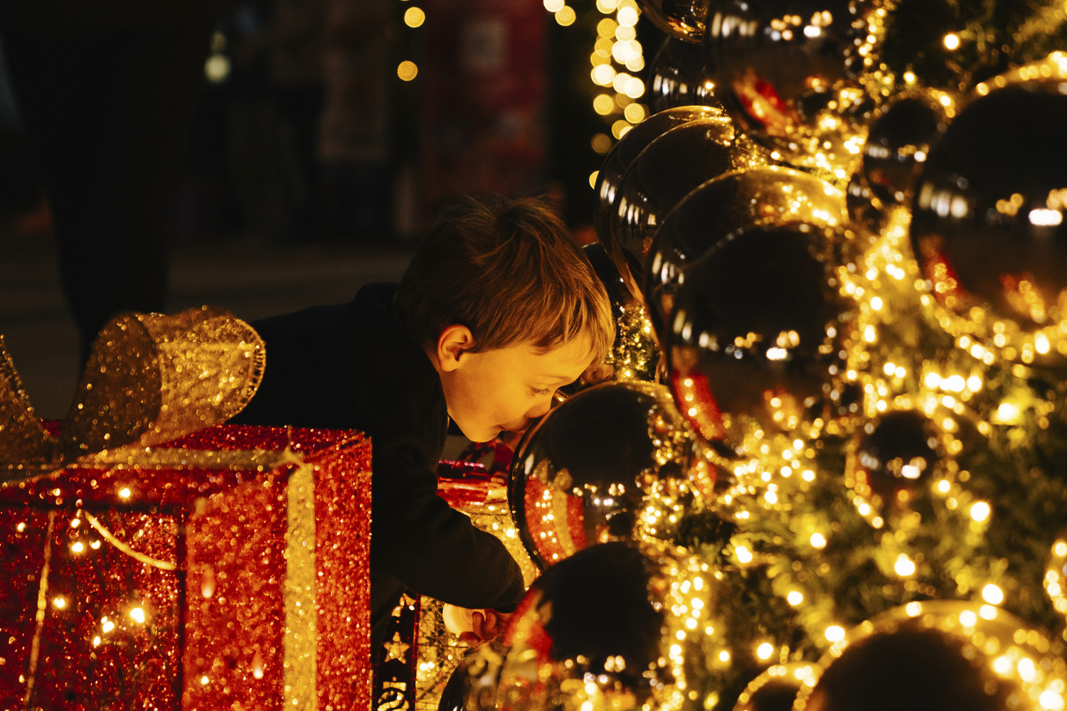 Christmas Tree Lighting