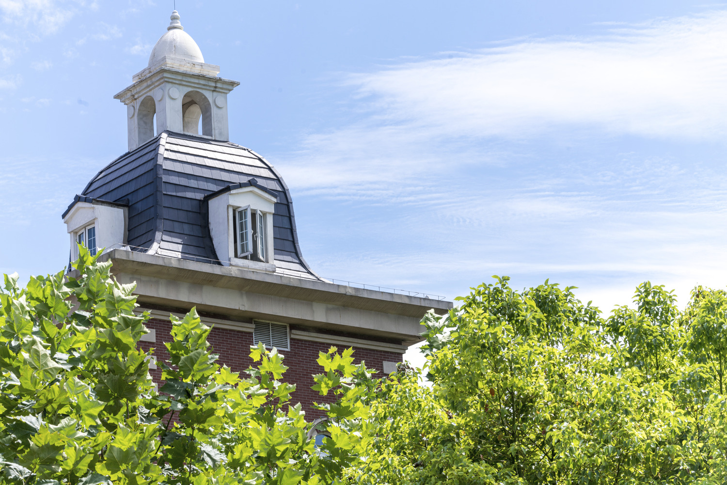 Wellingtonians are getting accepted at top universities