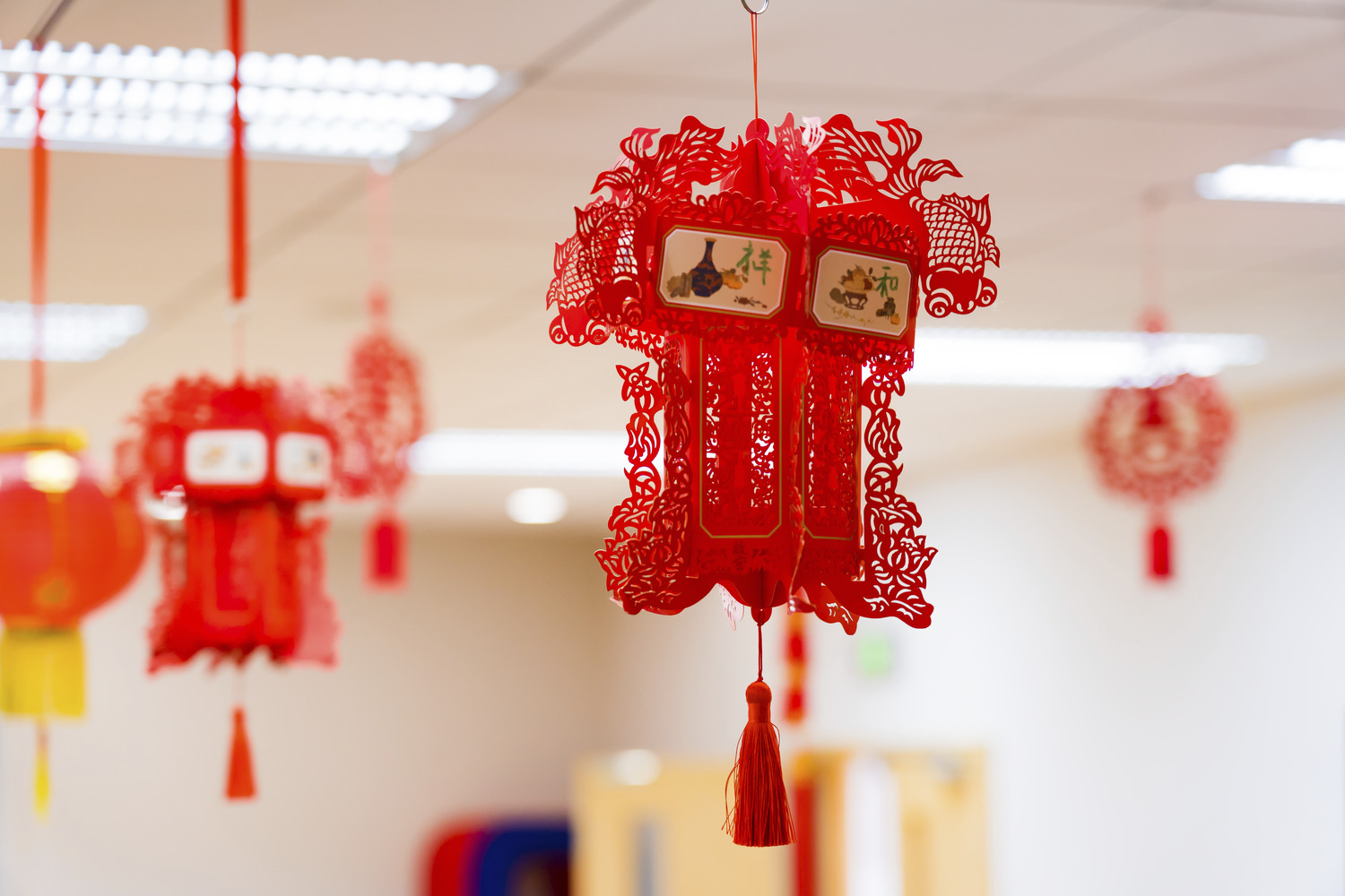 Chinese New Year Celebrations