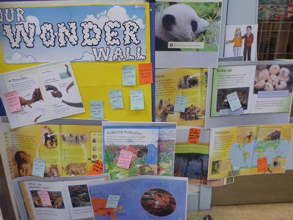 Fun Learning in Reception,Wellington College International Tianjin