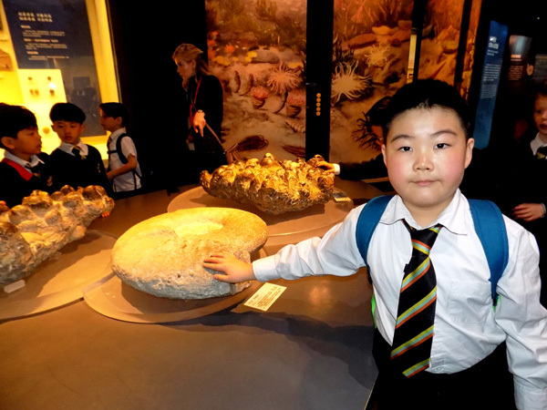Natural History Museum MP2 Trip,Wellington College International Tianjin