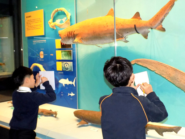 Natural History Museum MP2 Trip,Wellington College International Tianjin