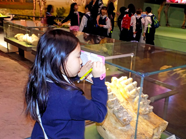Natural History Museum MP2 Trip,Wellington College International Tianjin