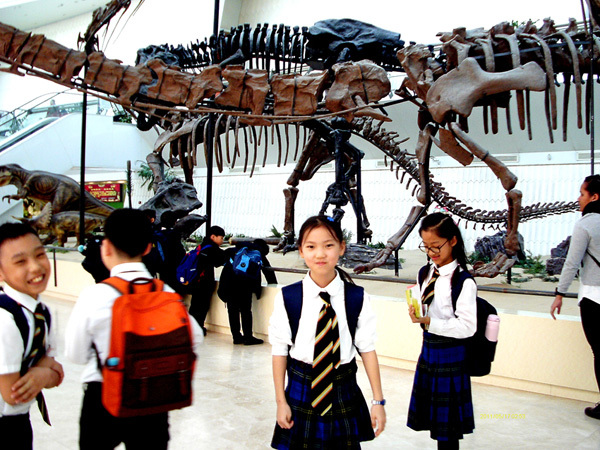 Natural History Museum MP2 Trip,Wellington College International Tianjin