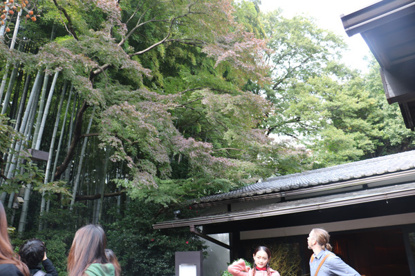 Japan Art Trip,Wellington College International Tianjin
