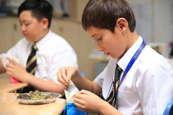 Traditional Chinese Medicine Cultural Experience,Wellington College International Tianjin