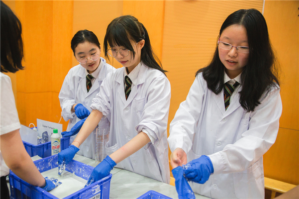 Science Fair,Wellington College International Tianjin