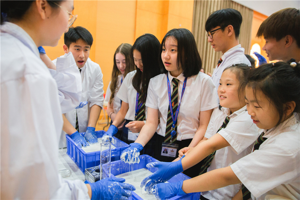 Science Fair,Wellington College International Tianjin