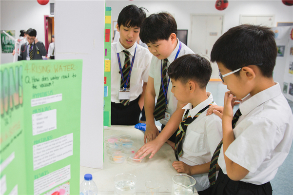 Science Fair,Wellington College International Tianjin
