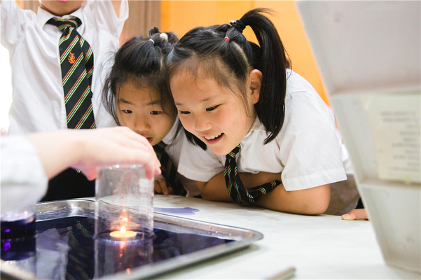 Science Fair,Wellington College International Tianjin
