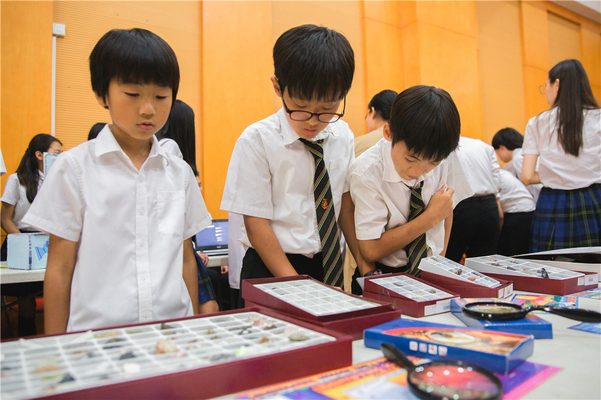 Science Fair,Wellington College International Tianjin