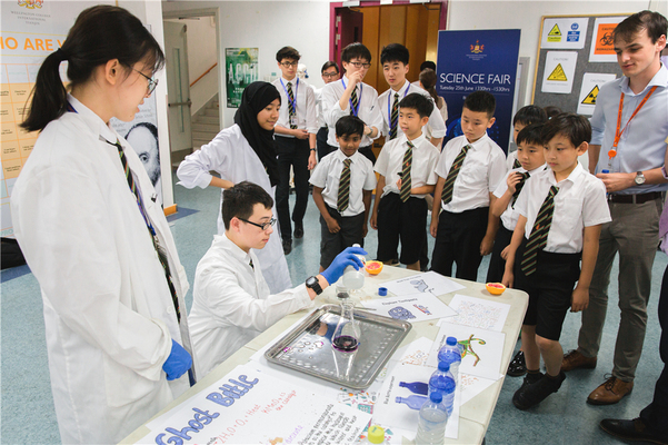 Science Fair,Wellington College International Tianjin