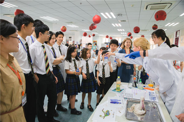 Science Fair,Wellington College International Tianjin