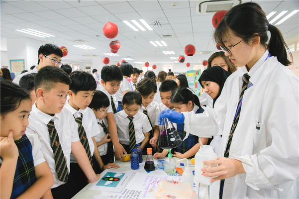 Science Fair,Wellington College International Tianjin