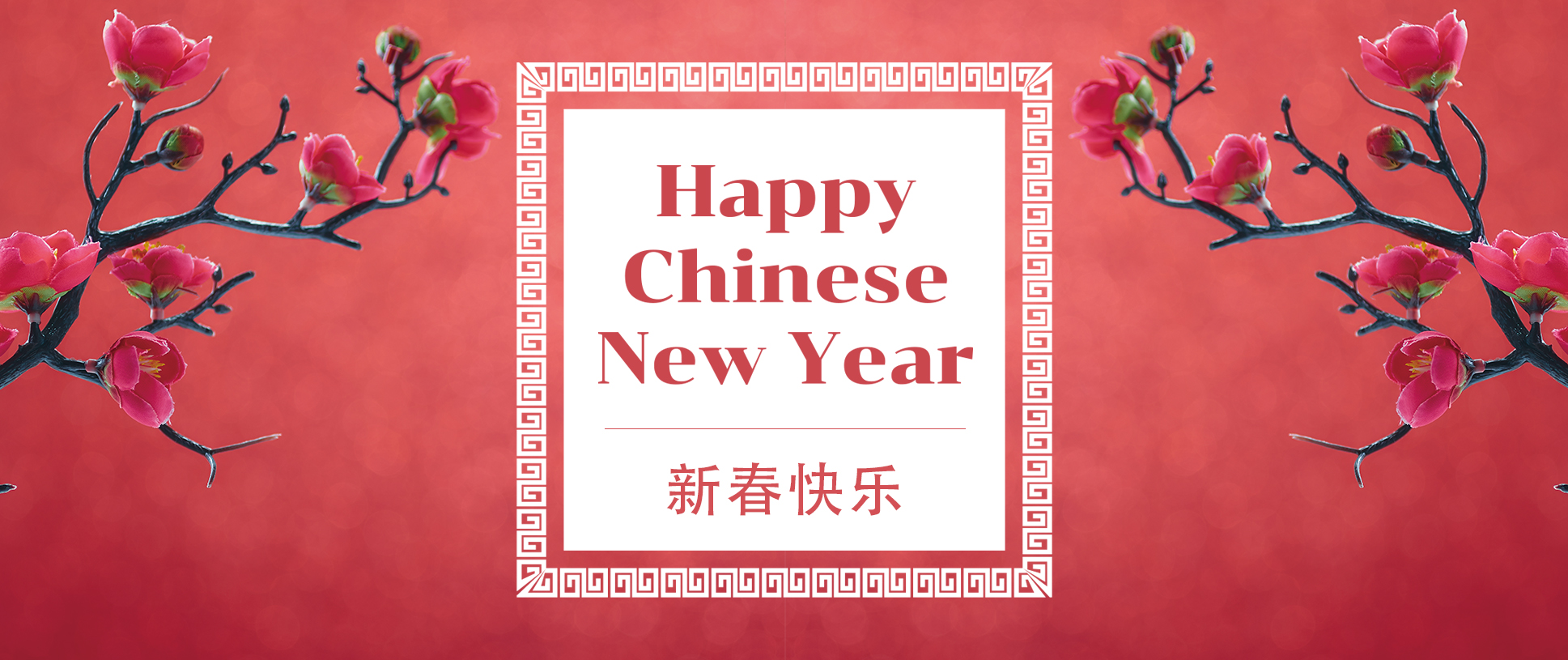 Video丨Happy Chinese New Year!